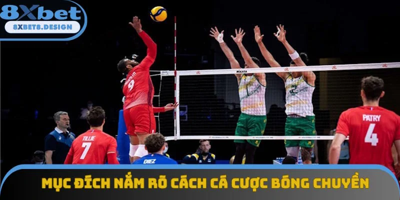 Mục đích hiểu rõ cách cá cược bóng chuyền Mục đích hiểu rõ cách cá cược bóng chuyền