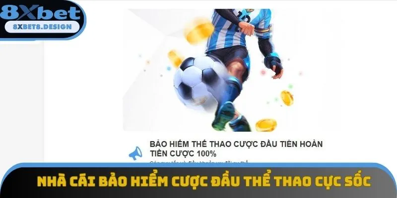 Nhà cái bảo hiểm cược đầu thể thao cực sốc Nhà cái bảo hiểm cược đầu thể thao cực sốc