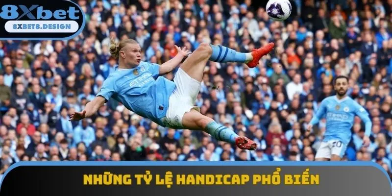 Những tỷ lệ handicap phổ biến nhất Những tỷ lệ handicap phổ biến nhất