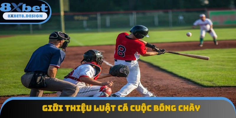 Nội dung giới thiệu luật cá cược bóng chày Nội dung giới thiệu luật cá cược bóng chày