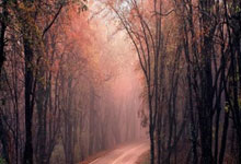 工业互联网标识解析二级节点成功上线，助力企业超500家实现数字化转型