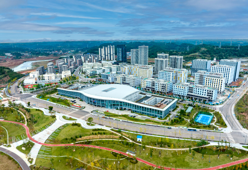 资阳特色产业集群崛起，助力经济高质量发展